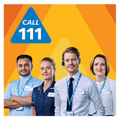111 Team logo
